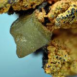 ClorargiritaCorta Filón Sur, Minas de Tharsis, Tharsis, Alosno, Comarca El Andévalo, Huelva, Andalucía, EspañaCampo de visión de 2 mm (Autor: Antonio Carmona)