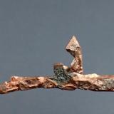 Copper<br />White Pine Mine, White Pine, Ontonagon County, Michigan, USA<br />124mm x 48mm x 10mm<br /> (Author: Don Lum)