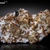 Spessartine and Quartz<br />Wushan Spessartine prospects, Tongbei, Yunxiao, Zhangzhou Prefecture, Fujian Province, China<br />126 X 67 mm<br /> (Author: Manuel Mesa)