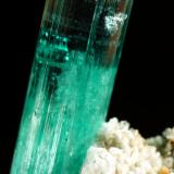 Beryl (variety emerald), Albite (variety cleavelandite), Pyrite<br />Chivor mining district, Palo Arañado Mine, Municipio Chivor, Eastern Emerald Belt, Boyacá Department, Colombia<br />crystal=45mm<br /> (Author: Fiebre Verde)