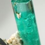 Beryl (variety emerald), Albite (variety cleavelandite), Pyrite<br />Chivor mining district, Palo Arañado Mine, Municipio Chivor, Eastern Emerald Belt, Boyacá Department, Colombia<br />crystal=45mm<br /> (Author: Fiebre Verde)