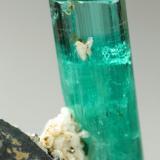 Beryl (variety emerald), Albite (variety cleavelandite), Pyrite<br />Chivor mining district, Palo Arañado Mine, Municipio Chivor, Eastern Emerald Belt, Boyacá Department, Colombia<br />crystal=45mm<br /> (Author: Fiebre Verde)