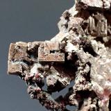 SilverWhite Pine Mine, White Pine, Ontonagon County, Michigan, USA46mm x 44mm x 9.5mm (Author: Don Lum)