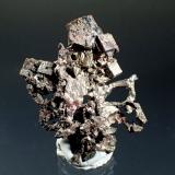 SilverMina White Pine, White Pine, Condado Ontonagon, Michigan, USA46mm x 44mm x 9.5mm (Author: Don Lum)