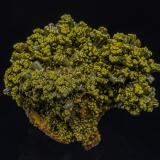 Pyromorphite<br />Les Farges Mine (Des Farges Mine), Ussel, Corrèze, Nouvelle-Aquitaine, France<br />5.7 x 4.3 cm<br /> (Author: am mizunaka)