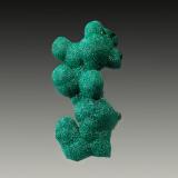 Malachite<br />L'Etoile du Congo Mine, Lubumbashi (Elizabethville), Katanga Copper Crescent, Haut-Katanga (Shaba), Democratic Republic of the Congo (Zaire)<br />1.2 x 2.9 cm<br /> (Author: crosstimber)