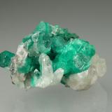 Beryl (variety emerald), Quartz<br />Muzo mining district, Western Emerald Belt, Boyacá Department, Colombia<br />33x24x22mm, xls up to 10mm<br /> (Author: Fiebre Verde)