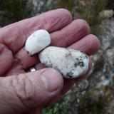 Quartz found in sandstone.  I always believed that these are rounded pebbles from original rivers, but I am now convinced that they are just nodules of quartz that formed in the sandstone. (Author: Pierre Joubert)