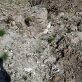 Quartz veins in sandstone. (Author: Pierre Joubert)