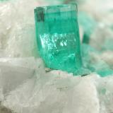 Beryl (variety emerald), Calcite, PyriteChivor (distrito minero), Mina El Oriente, Municipio Chivor, Cinturón Esmeraldífero Oriental, Departamento Boyacá, Colombia59x50x33mm, xl=8mm (Author: Fiebre Verde)