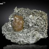 Scheelite<br />Pingwu Mine, Huya township, Mount Xuebaoding, Pingwu, Mianyang Prefecture, Sichuan Province, China<br />111 X 86 mm<br /> (Author: Manuel Mesa)