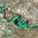 Beryl (variety emerald), Calcite, PyriteChivor (distrito minero), Municipio Chivor, Cinturón Esmeraldífero Oriental, Departamento Boyacá, Colombia107x95x40mm, xls upto 10mm (Author: Fiebre Verde)