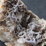 Fluorite<br />Underedge level, Langthwaite, Arkengarthdale, Yorkshire, England / United Kingdom<br />2cm<br /> (Author: colin robinson)