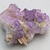 Fluorite<br />Coldstones Quarry, Sun vein, Greenhow, Yorkshire, England / United Kingdom<br />8 cm<br /> (Author: colin robinson)