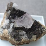 Fluorite<br />Middlehope Shield Mine, Shield Close level, Westgate, Weardale, North Pennines Orefield, County Durham, England / United Kingdom<br />2.5cm<br /> (Author: colin robinson)