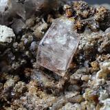 Fluorite<br />Birkett Common Mine, Mallerstang, North Pennines Orefield, former Westmorland, Cumbria, England / United Kingdom<br />6mm<br /> (Author: colin robinson)
