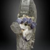Fluorite on Quartz<br />Yaogangxian Mine, Yizhang, Chenzhou Prefecture, Hunan Province, China<br />138 x 73 mm<br /> (Author: Manuel Mesa)