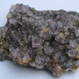 Fluorite<br />Llimestone quarry on the east side of the burn, Trough vein, Stanhope Dene, Crawleyside, Weardale, North Pennines Orefield, County Durham, England / United Kingdom<br />14cm<br /> (Author: colin robinson)