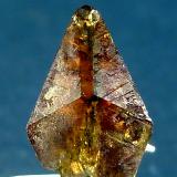 TitanitaCantera Oficarsa, Cerro de las Culebras, Carchelejo, Cárcheles, Comarca Sierra Mágina, Jaén, Andalucía, España10 x 5 mm. (Autor: Felipe Abolafia)