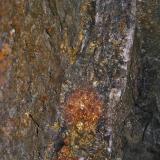 Chalcopyrite in veinMina South Crofty, Filon Northern Branch, Pool, Distrito Camborne - Redruth - Saint Day, Cornwall, Inglaterra / Reino Unidofov is about 2.5metres (Author: markbeckett)