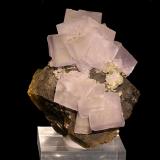 Fluorita, Siderita, Pirita<br />Minas da Panasqueira, Aldeia de São Francisco de Assis, Covilhã, Castelo Branco, Cova da Beira, Centro, Portugal<br />8,2 x 6,2 cm.<br /> (Autor: Carles)