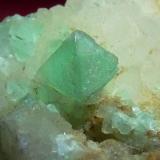 Fluorita y Cuarzo.<br />Pedrera Berta, Turó de Can Domènech, Serra de Roques Blanques, Sant Cugat del Vallès-El Papiol, Comarca Vallès Occidental / Baix Llobregat, Barcelona, Cataluña / Catalunya, España<br />8 mm.<br /> (Autor: Jesus Franquesa Baucells)