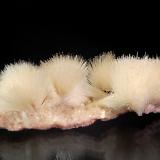 Mesolite<br />Lonavale (Lonavala), Pune District (Poonah District), Maharashtra, India<br />4.5 x 11.7 cm<br /> (Author: crosstimber)