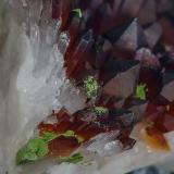 Quartz, Nickelaustinite<br />Bou Azzer mining district, Drâa-Tafilalet Region, Morocco<br /><br /> (Author: am mizunaka)
