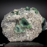Fluorite on Quartz<br />Huanggang Mines, Hexigten Banner (Kèshíkèténg Qí), Chifeng (Ulanhad), Inner Mongolia Autonomous Region, China<br />112 X 81 mm<br /> (Author: Manuel Mesa)