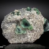 Fluorite on QuartzHuanggang Mines, Hexigten Banner (Kèshíkèténg Qí), Chifeng (Ulanhad), Inner Mongolia Autonomous Region, China112 X 81 mm (Author: Manuel Mesa)