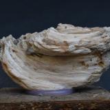 Celestina<br />Fonelas, Comarca Guadix, Granada, Andalucía, España<br />7 x 4 x 2 cm<br /> (Autor: Antonio Alcaide)
