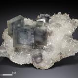 Fluorite on QuartzManaoshan Mine, Dongpo, Yizhang District, Chenzhou Prefecture, Hunan Province, China90 X 57 mm (Author: Manuel Mesa)
