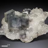 Fluorite on Quartz<br />Manaoshan Mine, Dongpo, Yizhang District, Chenzhou Prefecture, Hunan Province, China<br />90 X 57 mm<br /> (Author: Manuel Mesa)
