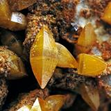 Wulfenite-Descloizite<br />Barranco del Humo Mines, Albuñuelas, Comarca Valle de Lecrín, Granada, Andalusia, Spain<br />FOV 2.5mm<br /> (Author: Carlos Pareja)