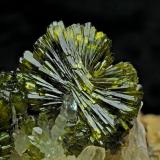 Epidote<br />Imilchil area, Anti-Atlas, Er Rachidia Province, Drâa-Tafilalet Region, Morocco<br />FOV 15mm<br /> (Author: Carlos Pareja)