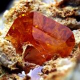 Wulfenite<br />Laura Claim, Los Lastonares, Albuñuelas, Comarca Valle de Lecrín, Granada, Andalusia, Spain<br />FOV 14mm<br /> (Author: Carlos Pareja)