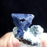 Benitoite<br />California State Gem Mine (Benitoite Gem Mine), San Benito River headwaters area, Santa Rita Peak, New Idria District, San Benito County, California, USA<br />35 mm x 25 mm x 21 mm<br /> (Author: Don Lum)