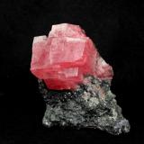 Rhodochrosite<br />Sweet Home Mine, Mount Bross, Alma District, Park County, Colorado, USA<br />90 mm x 85 mm<br /> (Author: Don Lum)