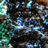 Cianotriquita<br />Málaga, Andalucía, España<br />48 x 31 x 17 mm.<br /> (Autor: José Luis Zamora)