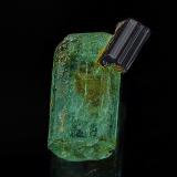 Beryl (variety emerald), Rutile<br />Rist Mine, Hiddenite, Alexander County, North Carolina, USA<br />1.1 x .55 cm<br /> (Author: am mizunaka)