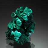 Malachite<br />Kiswishi, Lubumbashi (Elizabethville), Katanga Copper Crescent, Haut-Katanga (Shaba), Democratic Republic of the Congo (Zaire)<br />1.7 x 2.3 cm<br /> (Author: crosstimber)