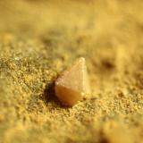 WulfeniteLas Minicas, La Corona Hill, Benahadux, Comarca Metropolitana de Almería, Almería, Andalusia, SpainFOV = 11 mm. (Author: franjungle)