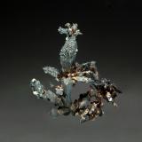 SilverBatopilas, Distrito Andrés del Río, Municipio Batopilas, Chihuahua, México1.6 x 2.0 cm (Author: crosstimber)