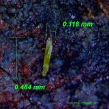Piromorfita.<br />Minas Can Magre, Vidreres, Comarca La Selva, Gerona / Girona, Cataluña / Catalunya, España<br />0´484 x 0´118 mm.<br /> (Autor: Jesus Franquesa Baucells)