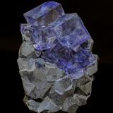 Fluorite, Galena<br />Ojuela Mine, Mapimí, Municipio Mapimí, Durango, Mexico<br />6.3 x 4.4 cm<br /> (Author: am mizunaka)