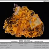 Wulfenite and MimetiteMina Rowley, Theba, Distrito Painted Rock, Montes Painted Rock, Condado Maricopa, Arizona, USAfov 25 mm (Author: ploum)