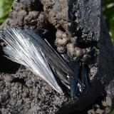 PirolusitaSerra da Mina Mine, Cercal, Santiago do Cacém, Setúbal District, Área Metropolitana de Lisboa Region, Portugal12 x 6 cm (la pieza) (Autor: nerofis2)