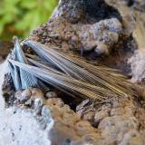 PirolusitaSerra da Mina Mine, Cercal, Santiago do Cacém, Setúbal District, Área Metropolitana de Lisboa Region, Portugal12 x 6 cm (la pieza) (Autor: nerofis2)