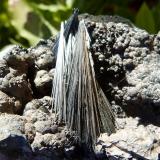 PirolusitaSerra da Mina Mine, Cercal, Santiago do Cacém, Setúbal District, Área Metropolitana de Lisboa Region, Portugal12 x 6 cm (la pieza) (Autor: nerofis2)
