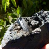 PirolusitaSerra da Mina Mine, Cercal, Santiago do Cacém, Setúbal District, Área Metropolitana de Lisboa Region, Portugal12 x 6 cm (la pieza) (Autor: nerofis2)